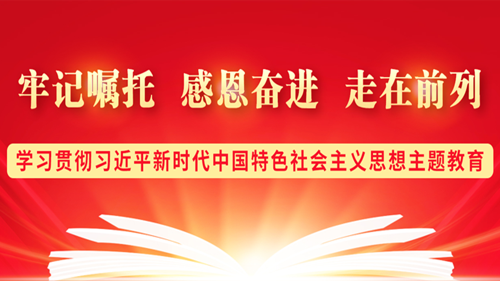 学习贯彻习近平新时代中国特色社会主义思想主题教育